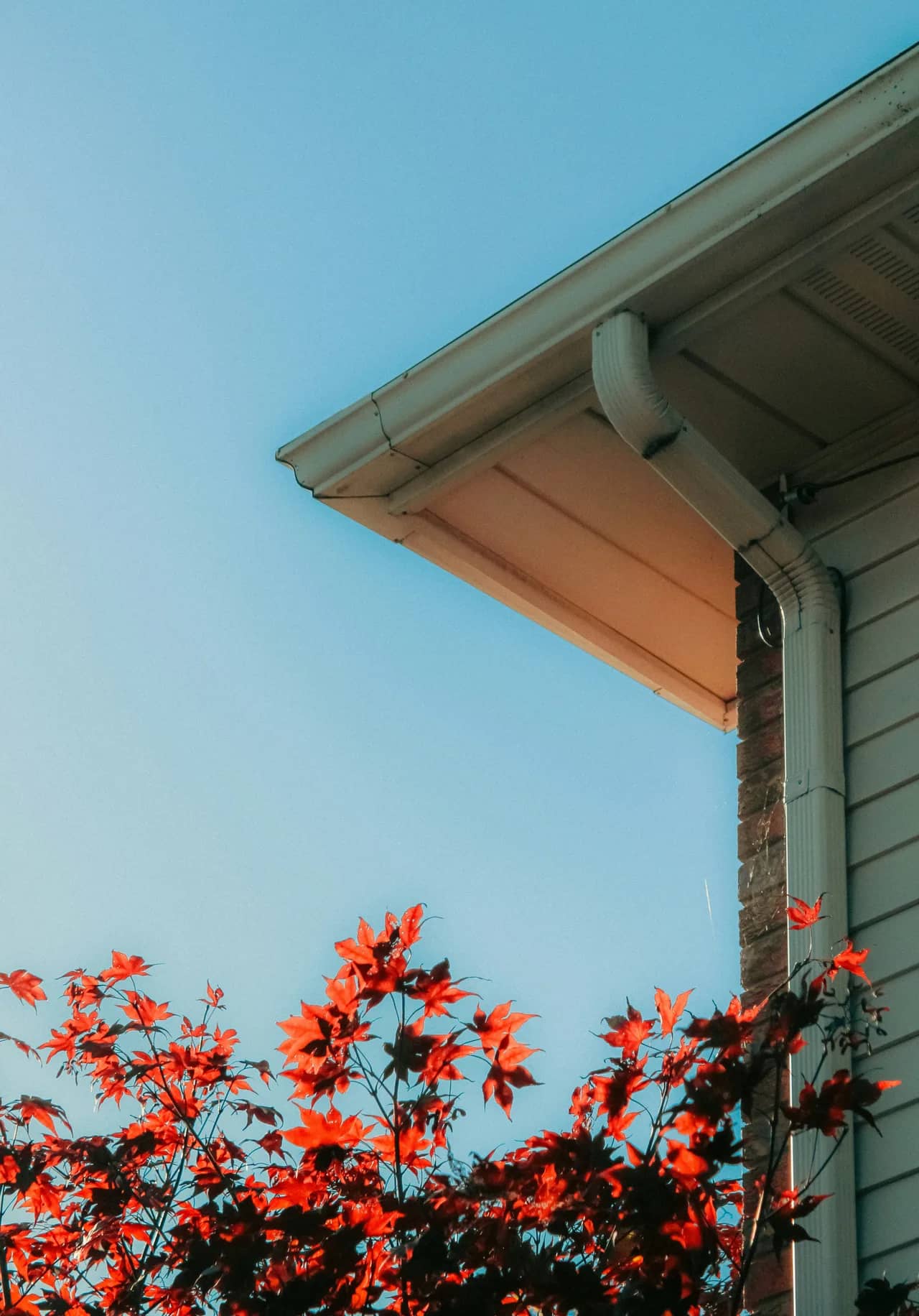ABC Seamless: Guttering, roofing and rainwater solutions in Bondi Beach