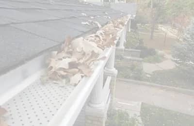 Protect your gutters from leaves.
