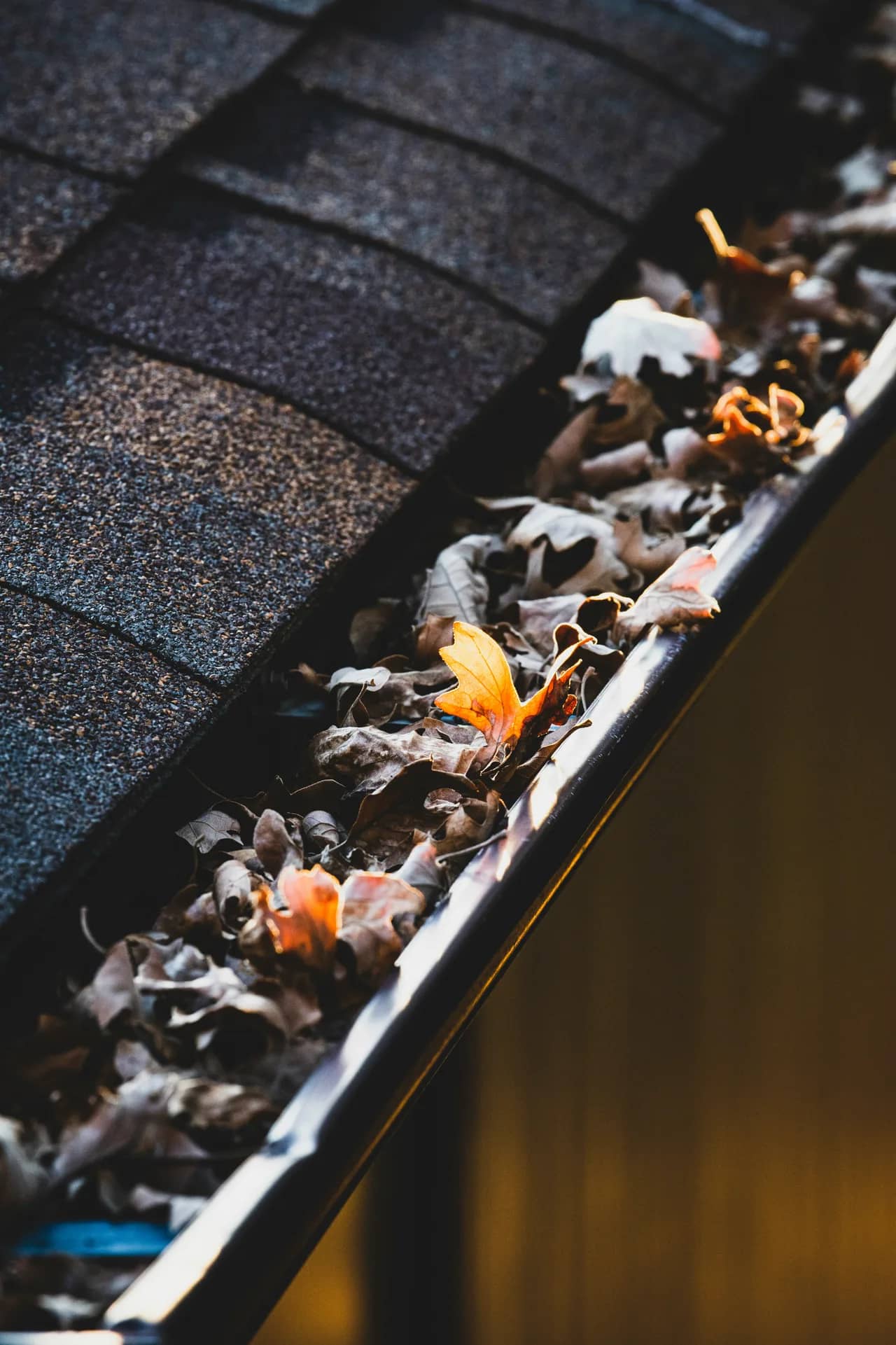 ABC Seamless: Guttering, roofing and rainwater solutions in Potts Point